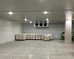 建造1000噸白菜冷庫(kù)要多少錢