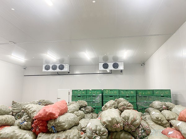 建一個十萬斤（50噸）的冷庫造價大概需要多少錢？