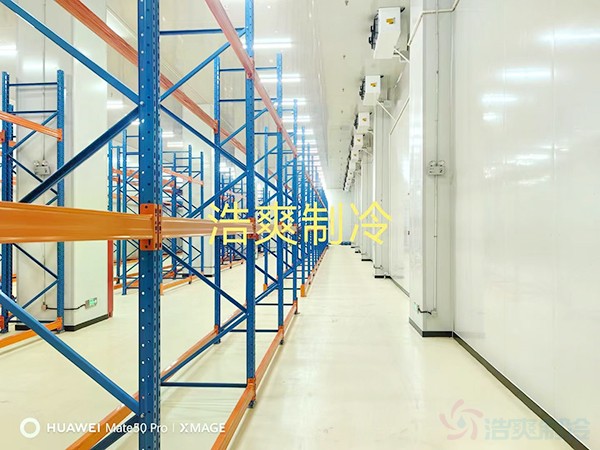 三類(lèi)醫(yī)療要求冷凍室和冷藏室多大？造價(jià)預(yù)算多少錢(qián)？