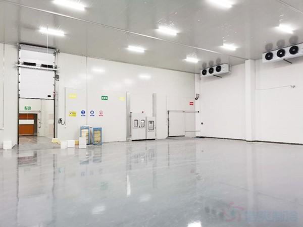 獸用生物制品冷庫面積需要建多大？造價預(yù)算多少錢