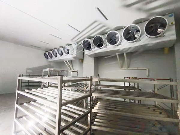 建造1000立方冷凍庫配多大壓縮機？造價預(yù)算多少錢？