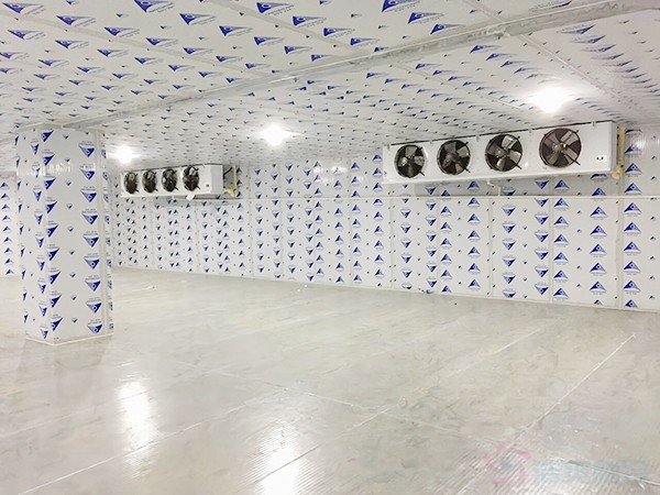 建一個(gè)冷凍庫造價(jià)需要多少錢一平方？