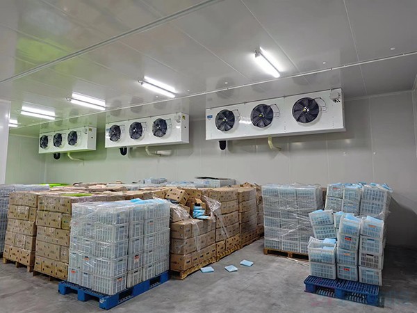 大型工業(yè)藥品冷庫建設安裝價格大概多少錢？