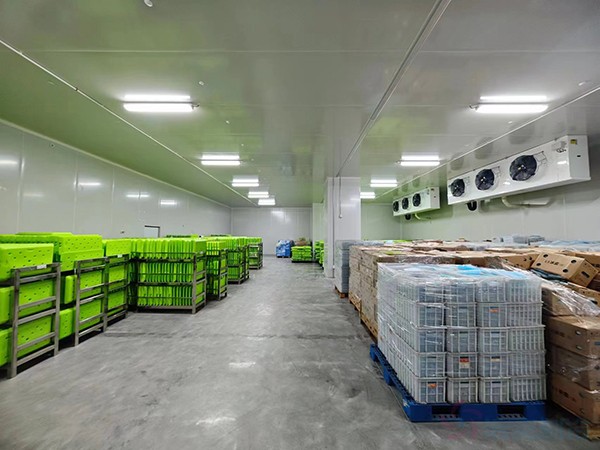 大型工業(yè)藥品冷庫建設安裝價格大概多少錢？