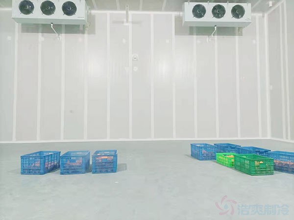 低溫板栗凍庫